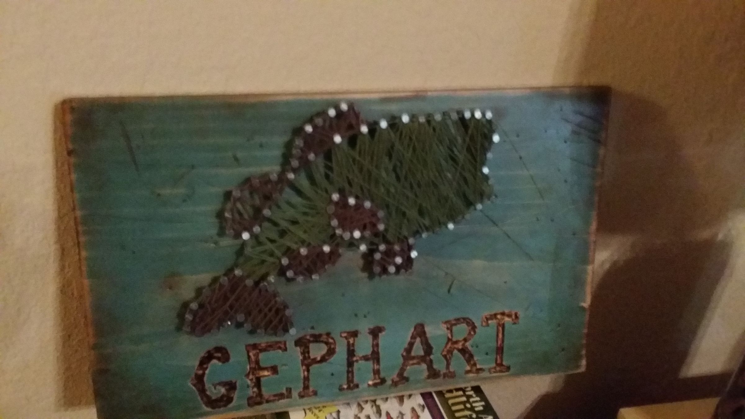 Personalized Bass Fish String Art 5 Steps (with Pictures) Instructables