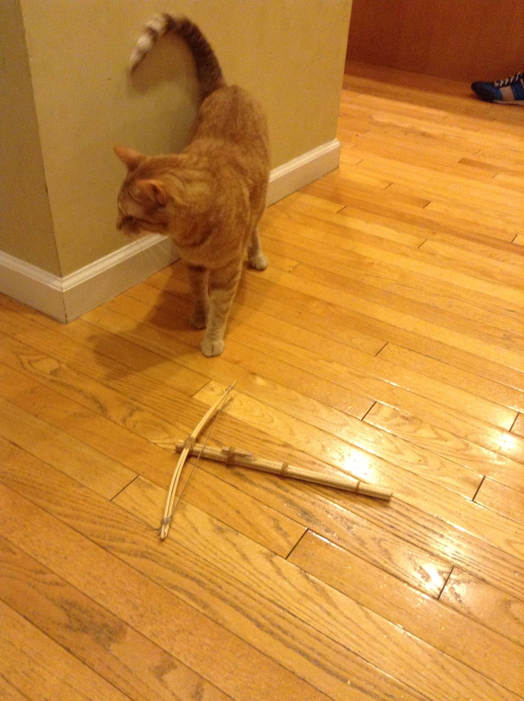 How To Make A Miniature Da Vinci Crossbow (Without The Wheels)