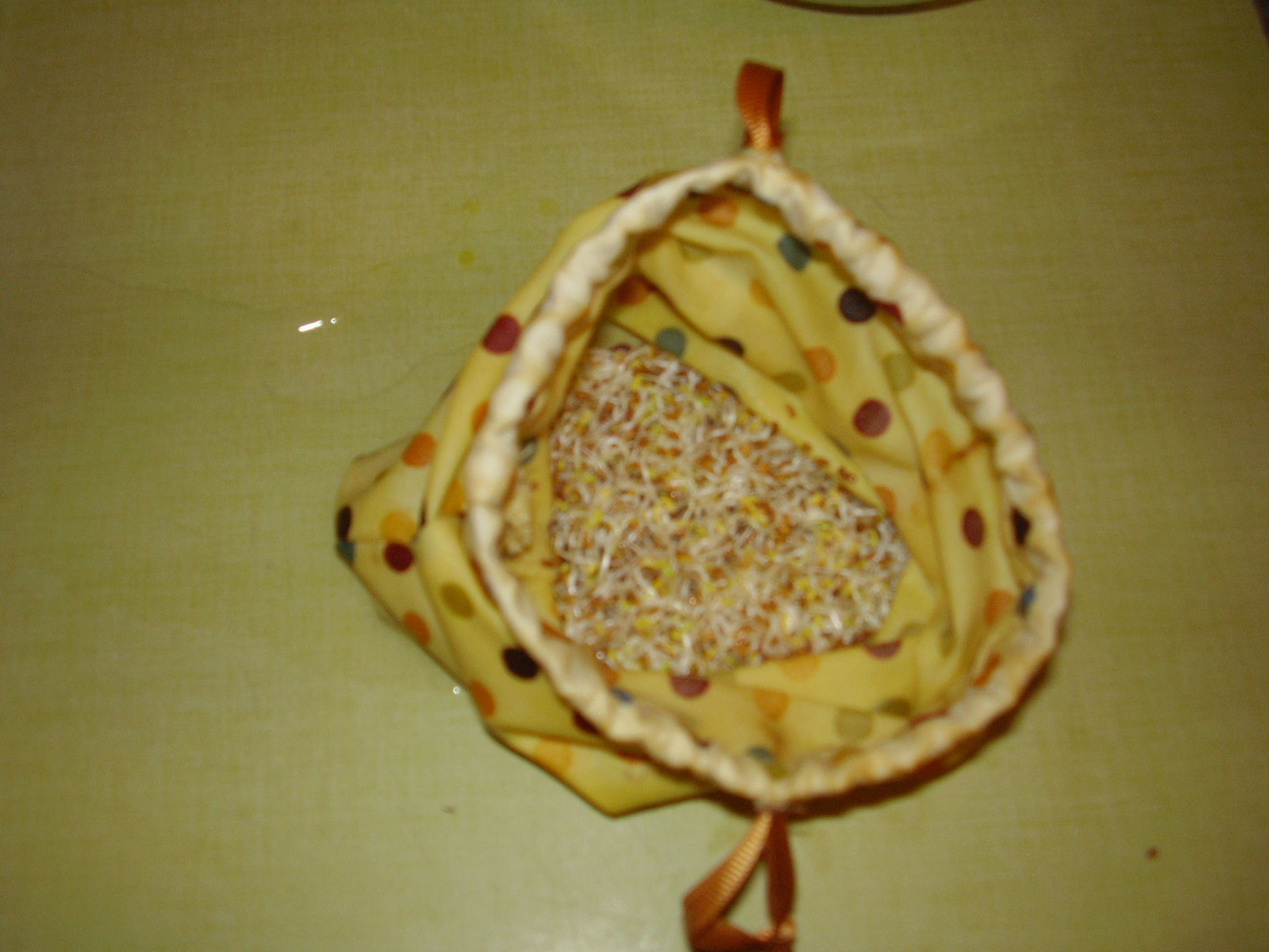How to Make & Use a SeedSprouting Bag 5 Steps (with Pictures