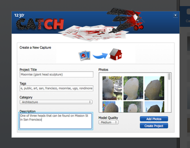 Fill in the Prompts and Choose Your Photos