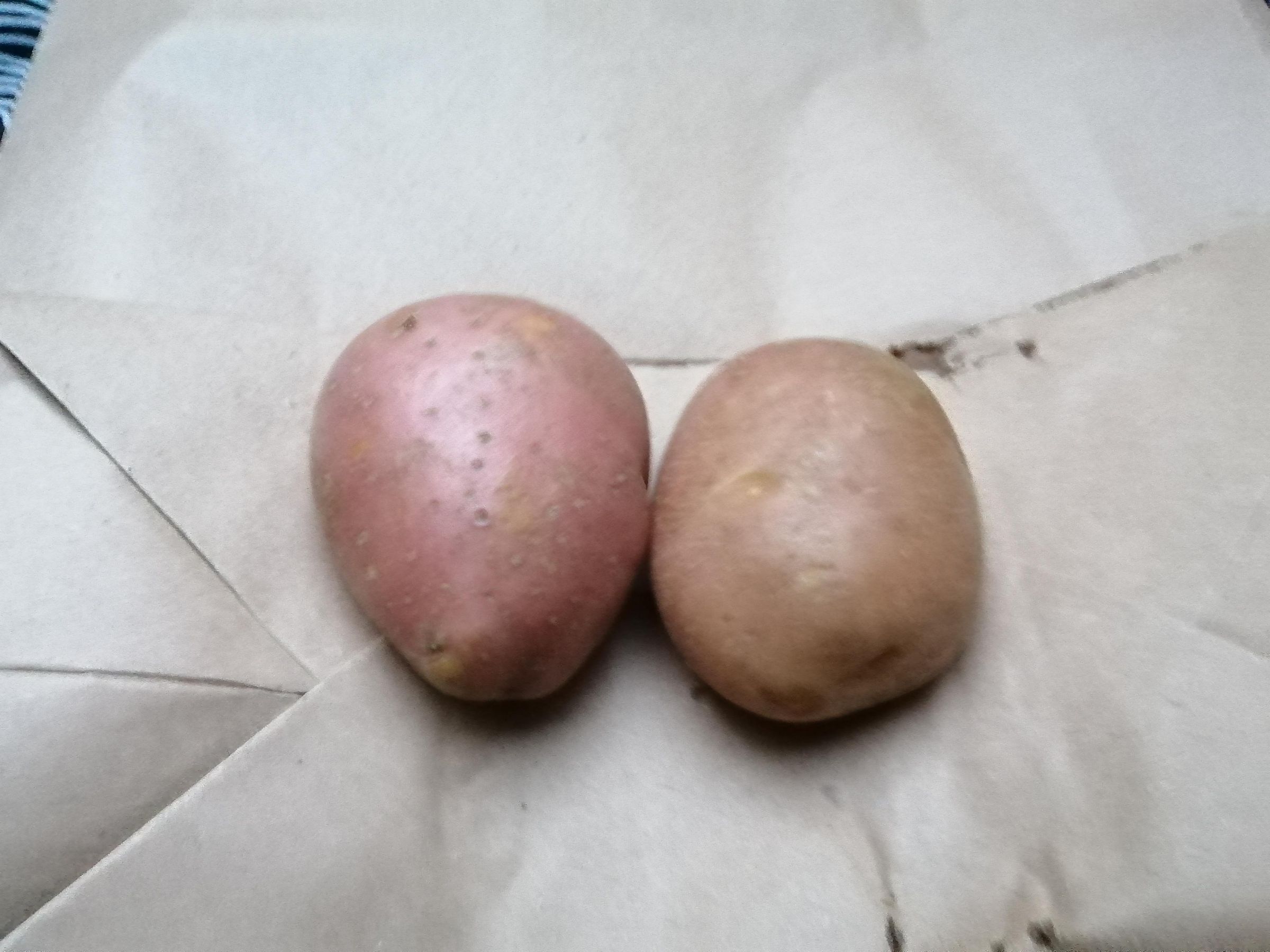 Horror Potatoes! 3 Steps (with Pictures) Instructables