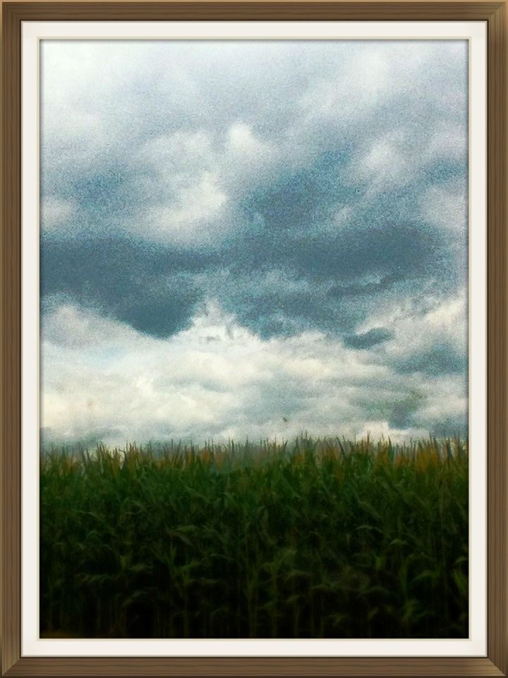 Good Photography With a Smartphone's Camera in a Nutshell