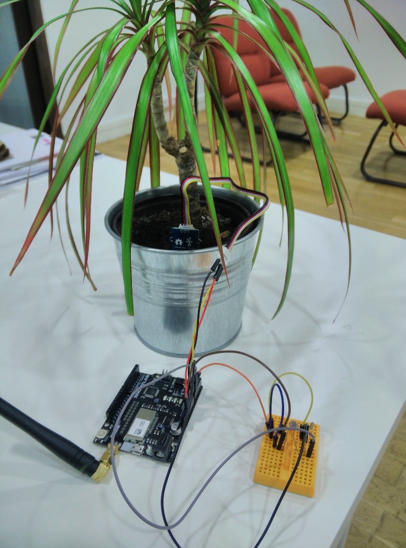 Connected Plant With Sigfox, Akeru & Thethings.iO