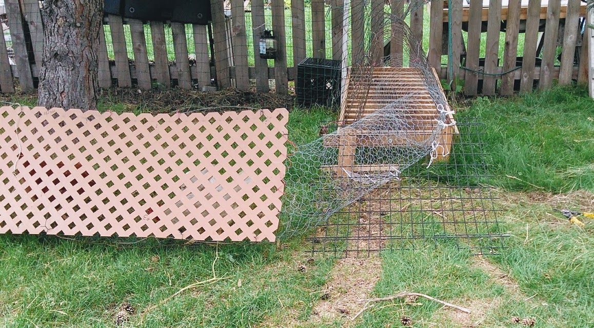 Rotating Run: Chicken Coop Extension : 9 Steps (with Pictures ...