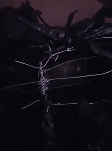 Attach the Legs to the Body