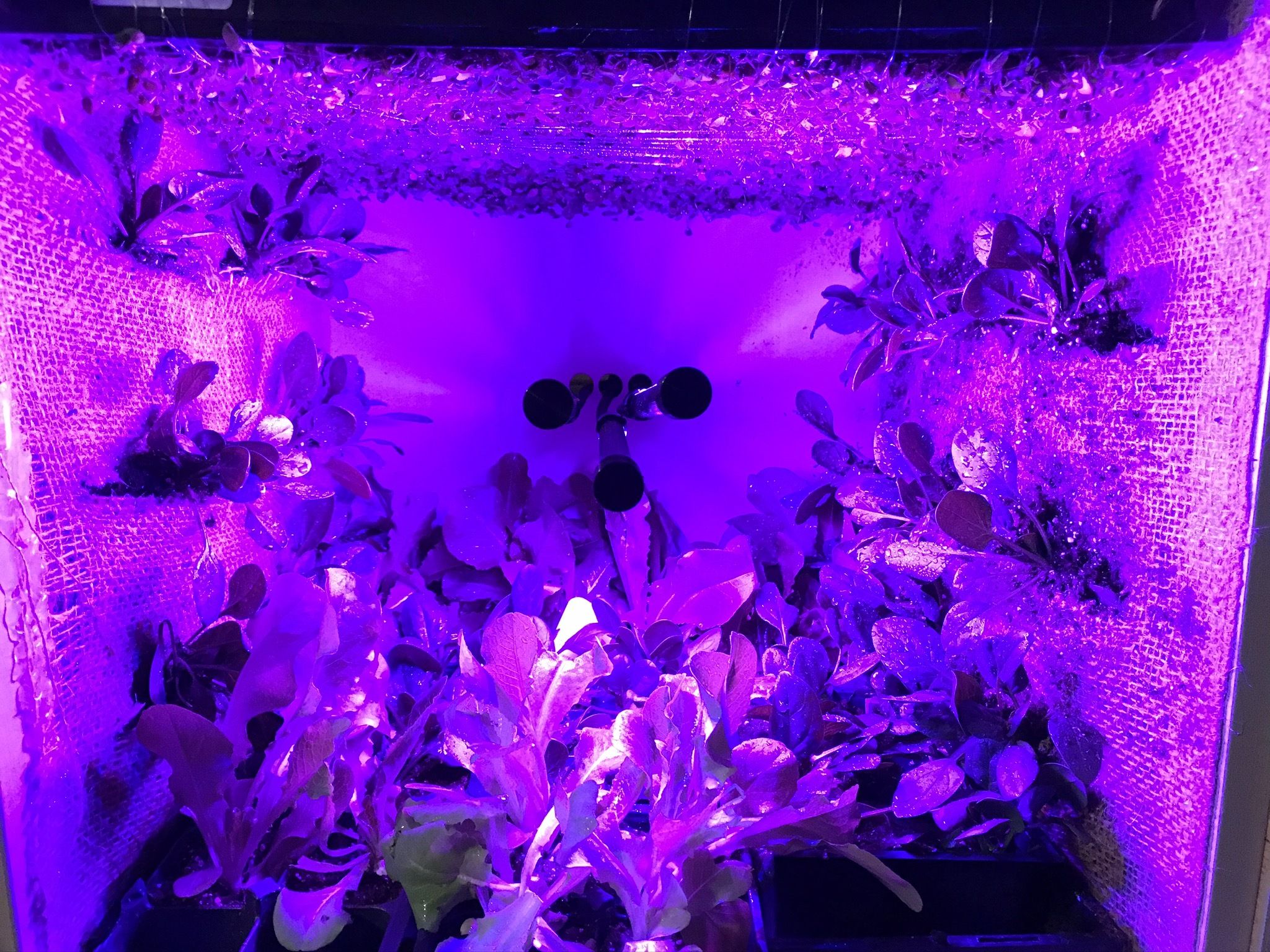 Zero Gravity Garden Grow Beyond Earth 6 Steps Instructables