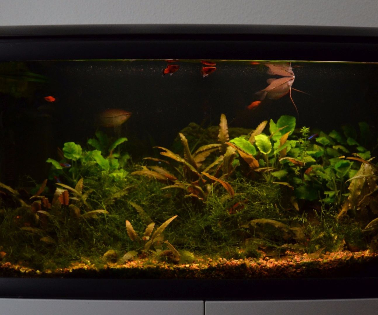 LED Light for 128L Aquarium 