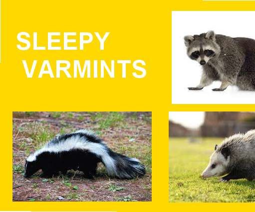 PUT YOUR VARMINTS TO SLEEP!