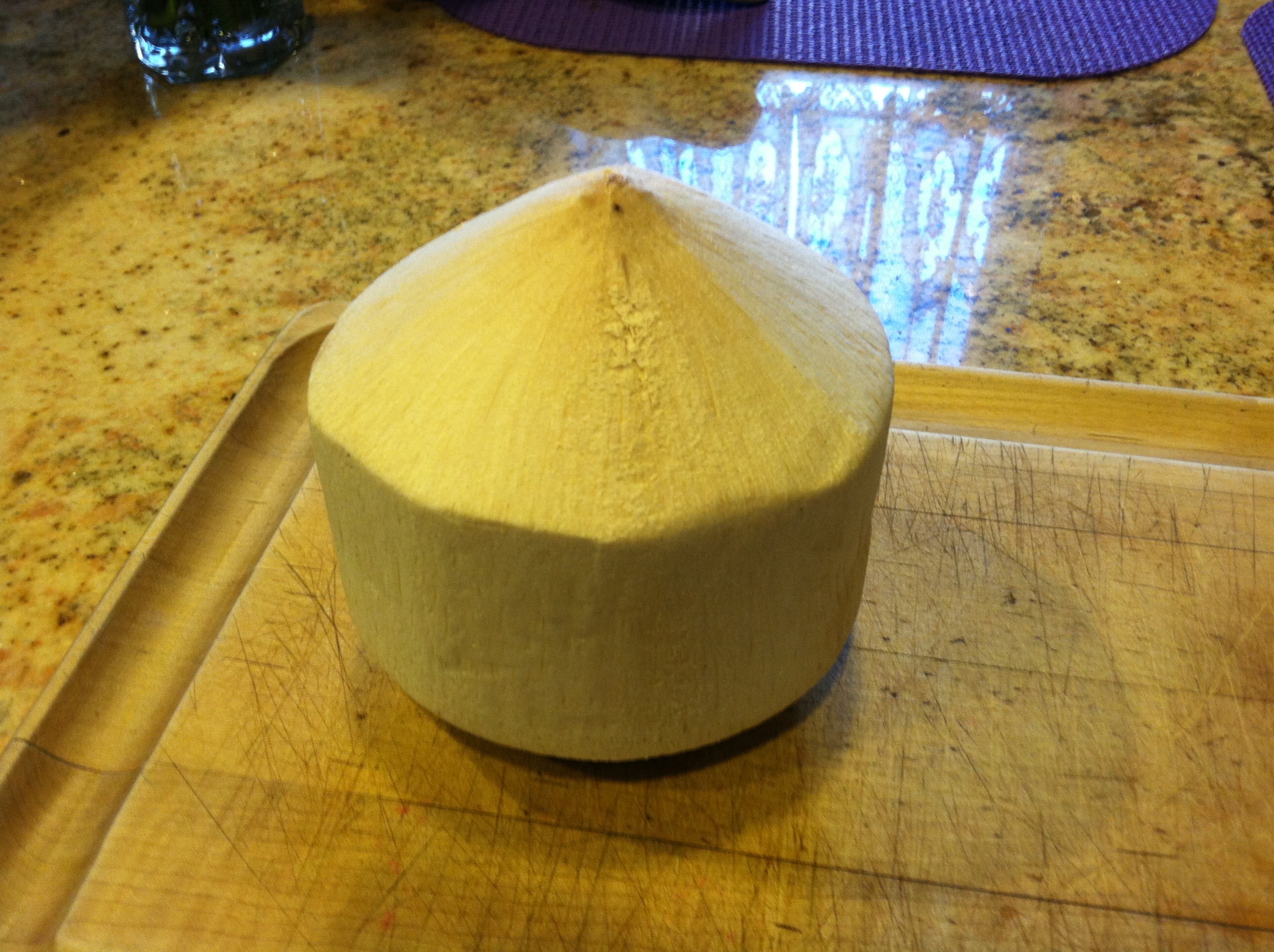 Coconut Shell Sake Cups 6 Steps (with Pictures) Instructables