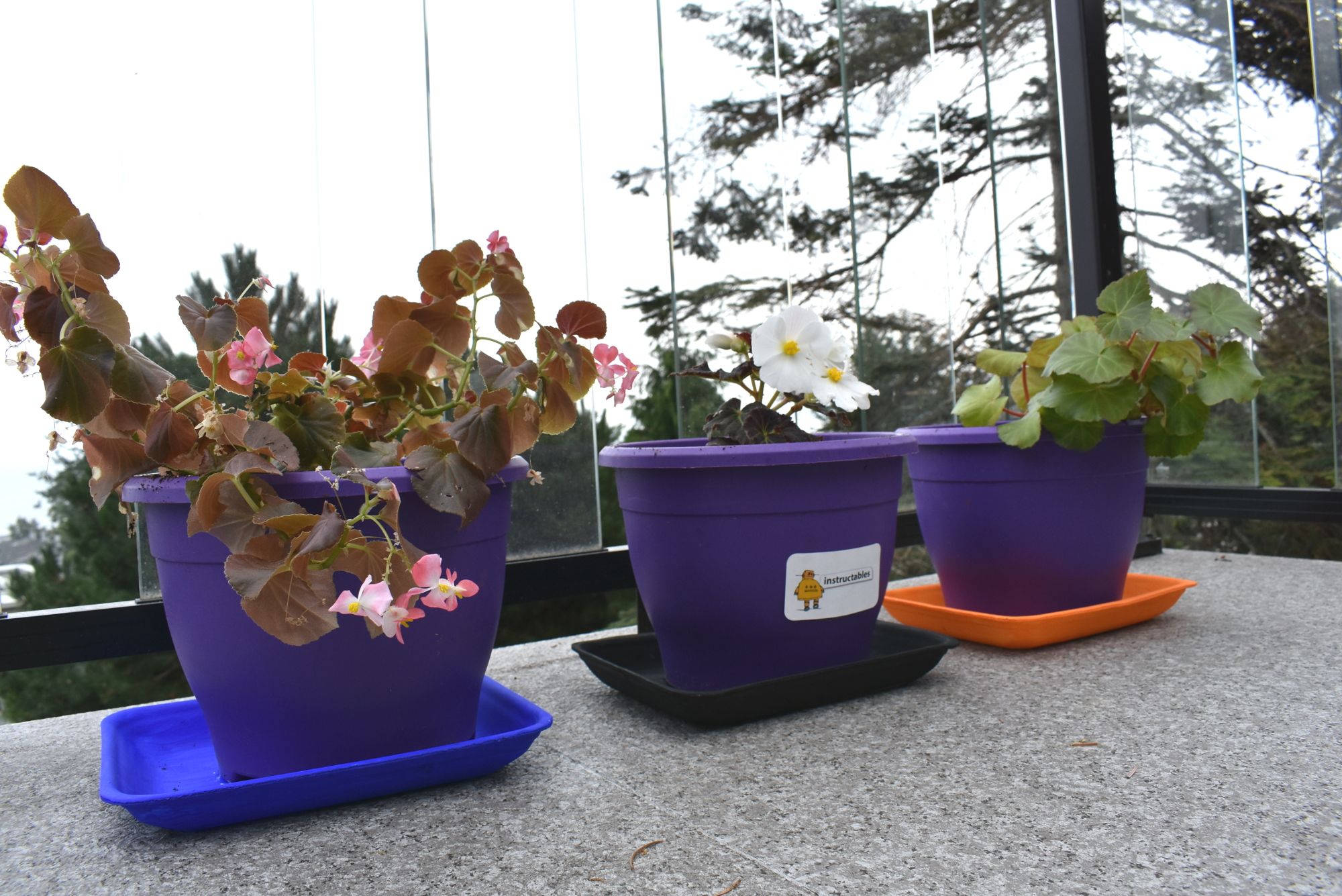 Perfectly Prodigious Polystyrene Plant Plate! 3 Steps Instructables