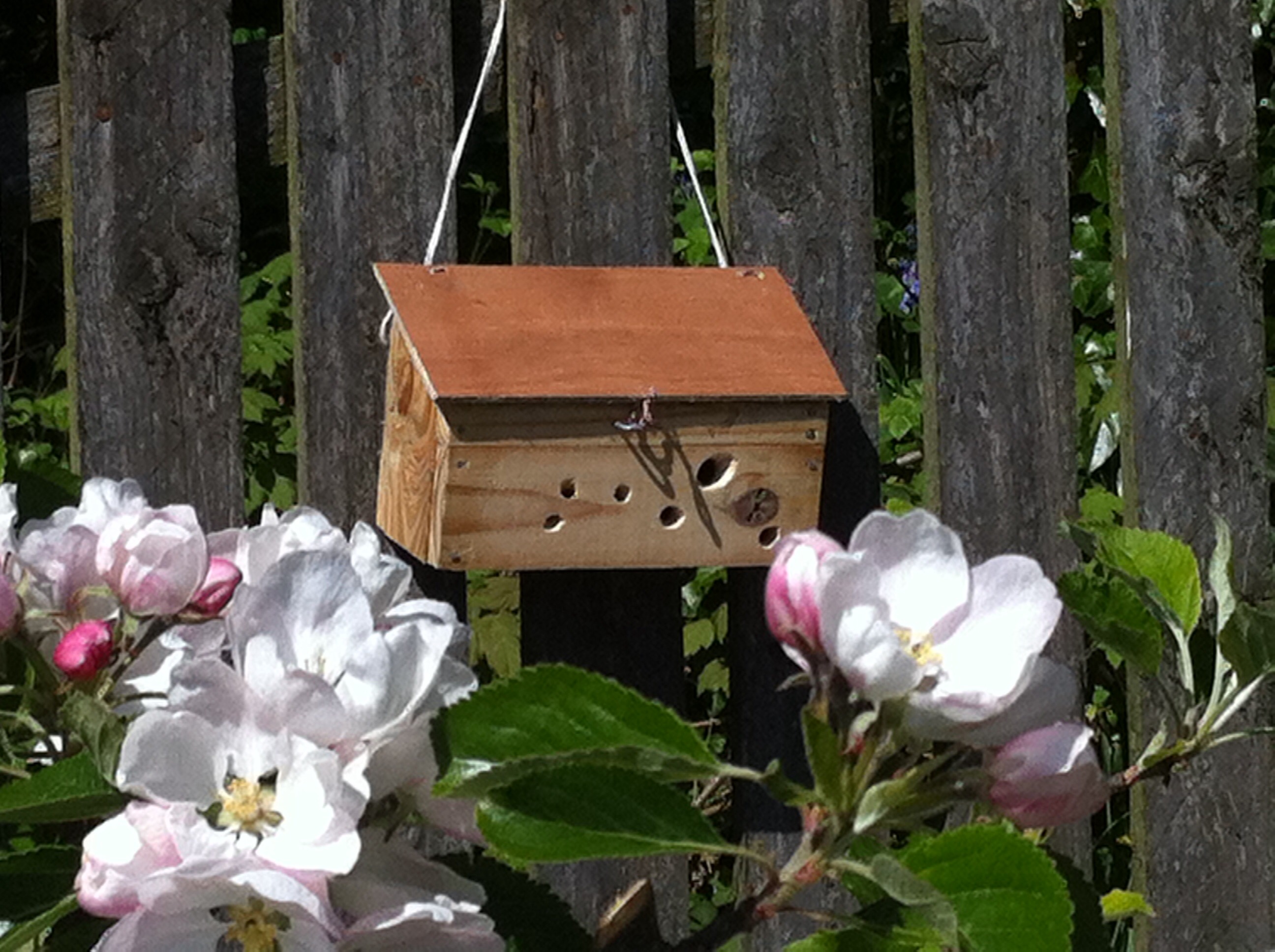 Reclaimed Wood Bee Box