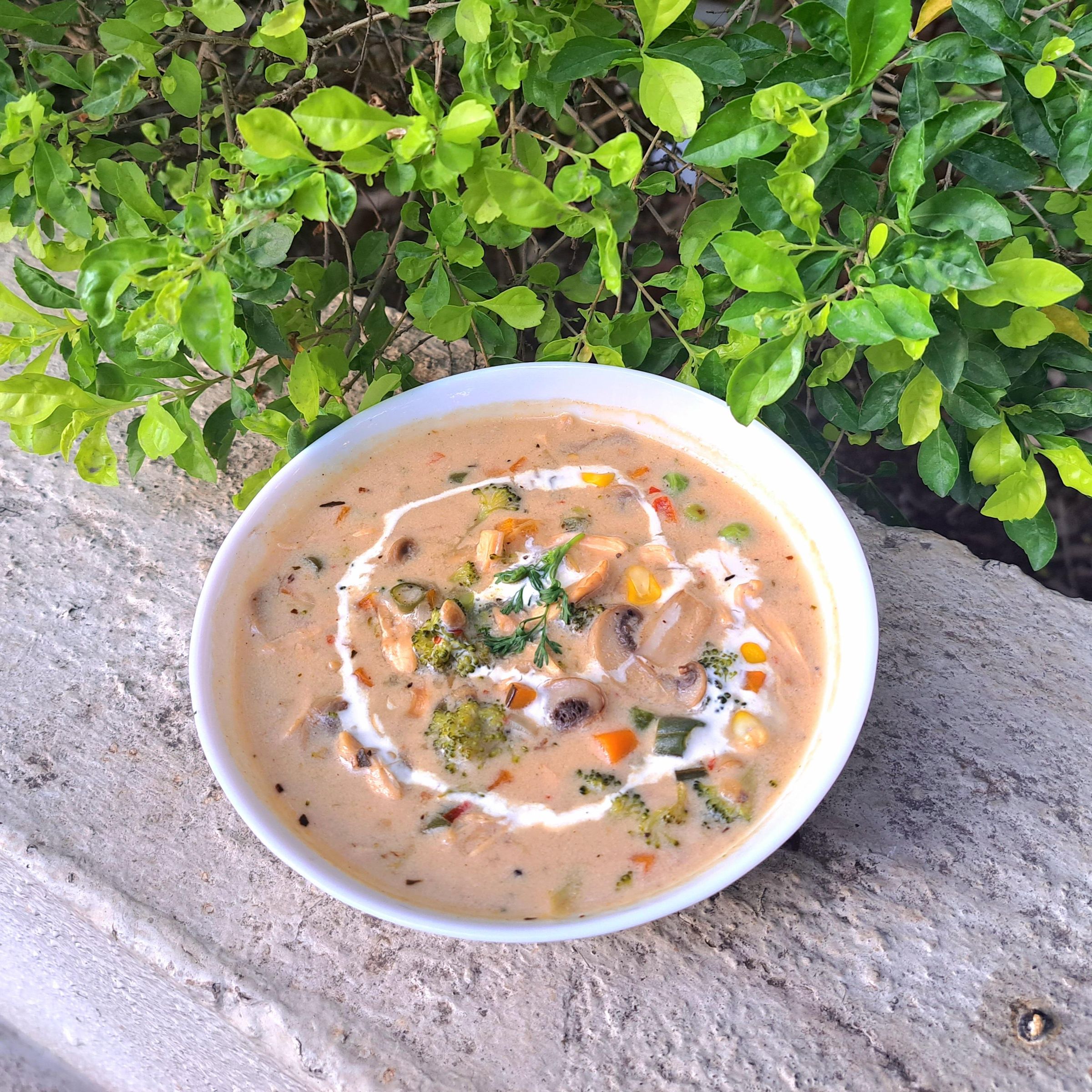 the-perfect-winter-companion-creamy-chicken-vegetable-soup-ready-in