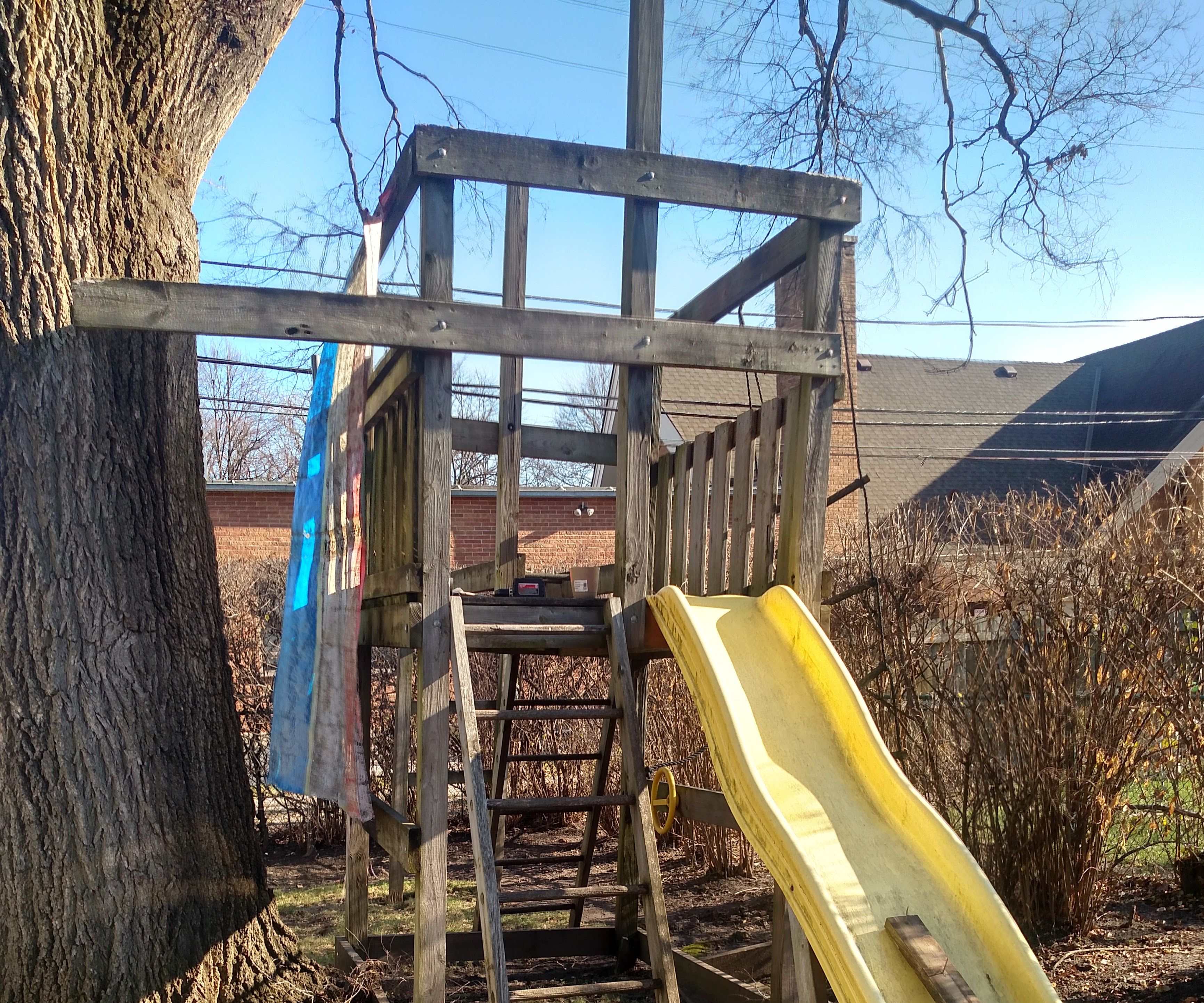 Reclaiming a Tree House