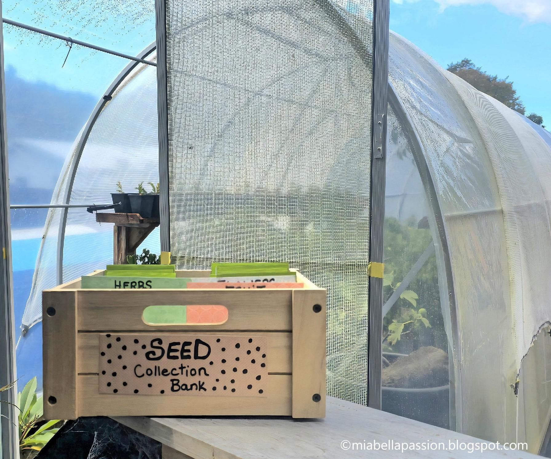 DIY Seed Collection Bank