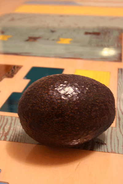 Guacamole Byproduct House Plant