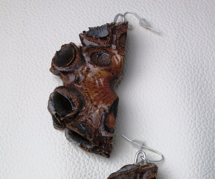 Banksia Pod Slice Earrings