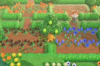 How To Breed All Hybrid Flowers In Animal Crossing New Horizons