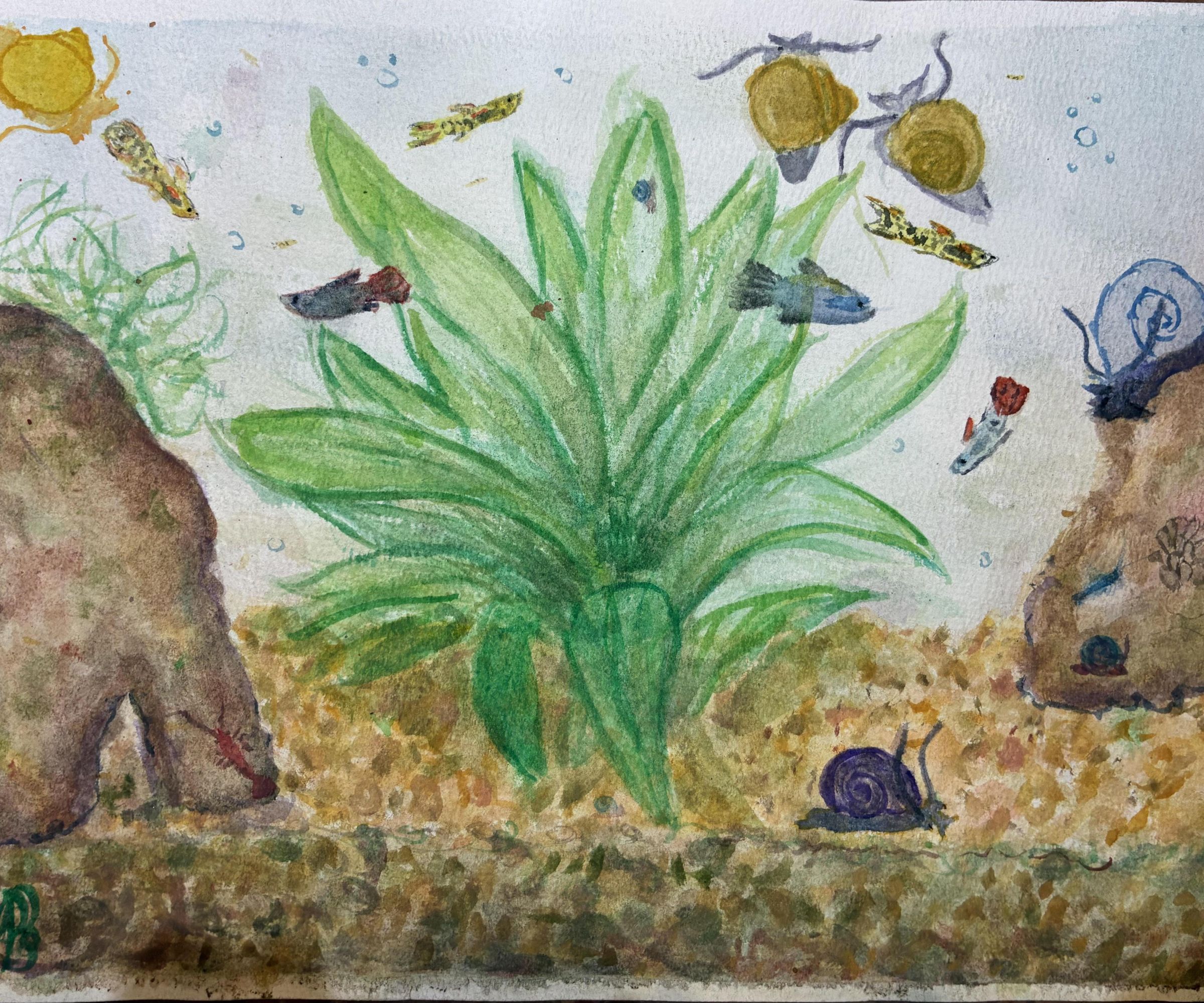 Ecosystem Planted Aquarium Watercolor Painting