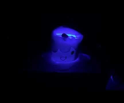 Litwick Model