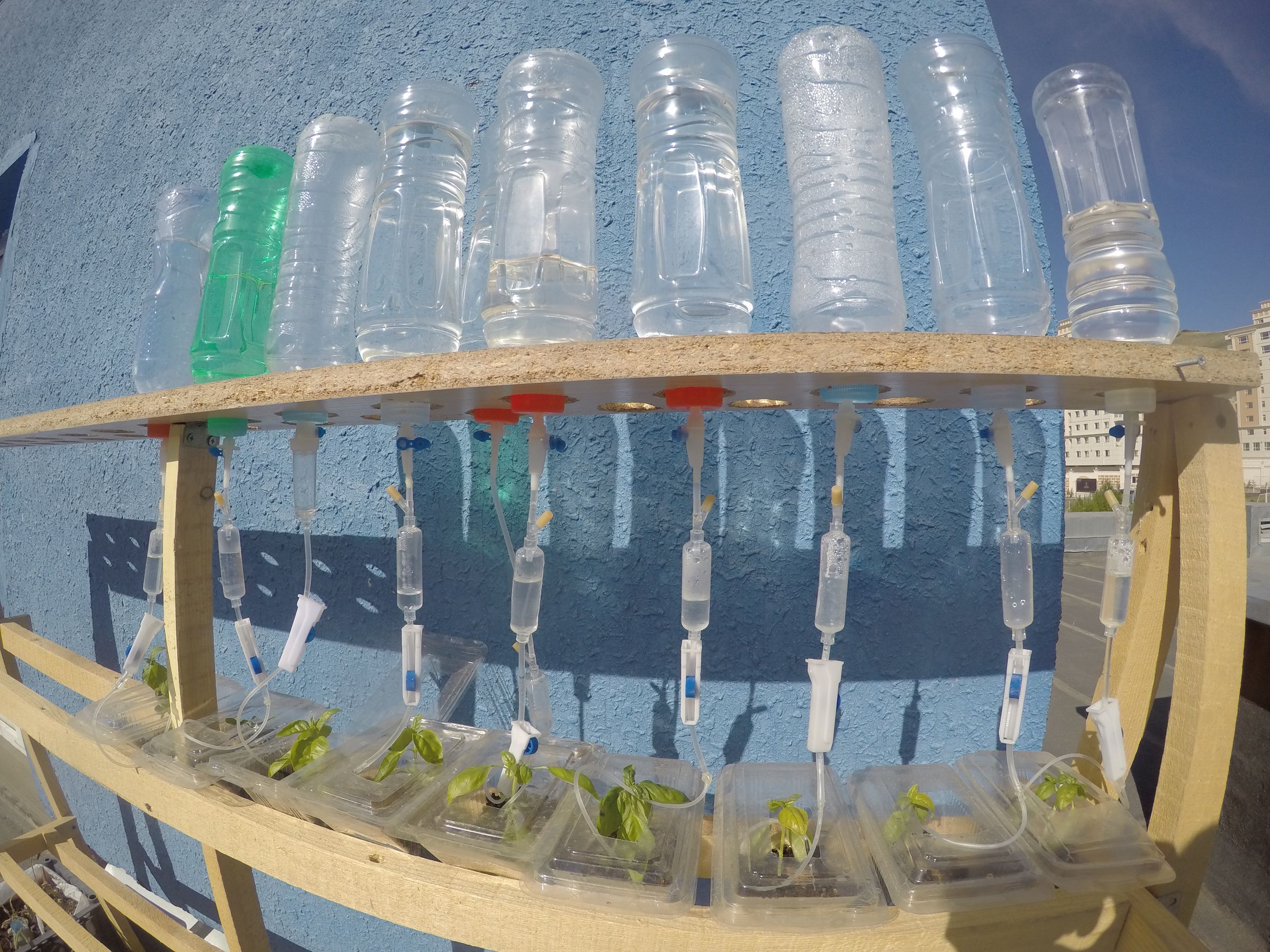 Drip Irrigation Home Garden for Window Sill, Roof or Backyard 4 Steps