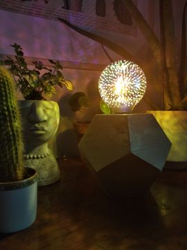 calathea erde kaufen Calathea warscewiczii kaufen