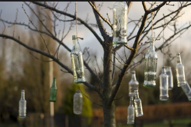 Bottle Cat Toy