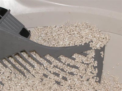 CatGenie:  Solving the Disappearing Granule Problem