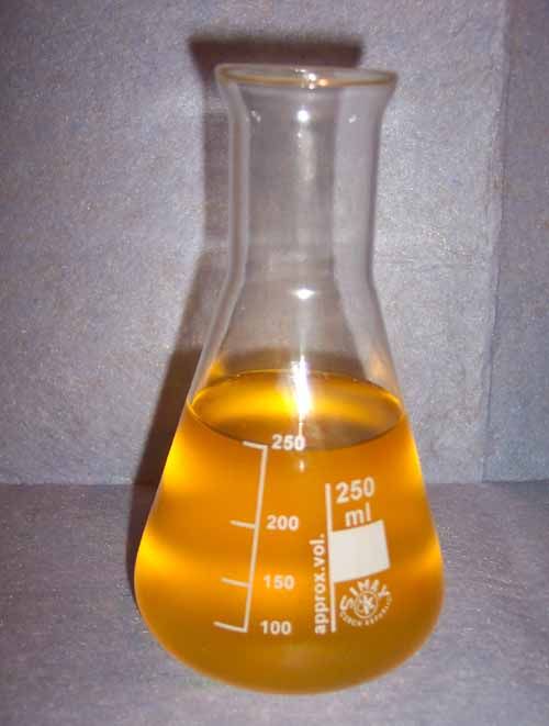 Cheapest and Best Biodiesel