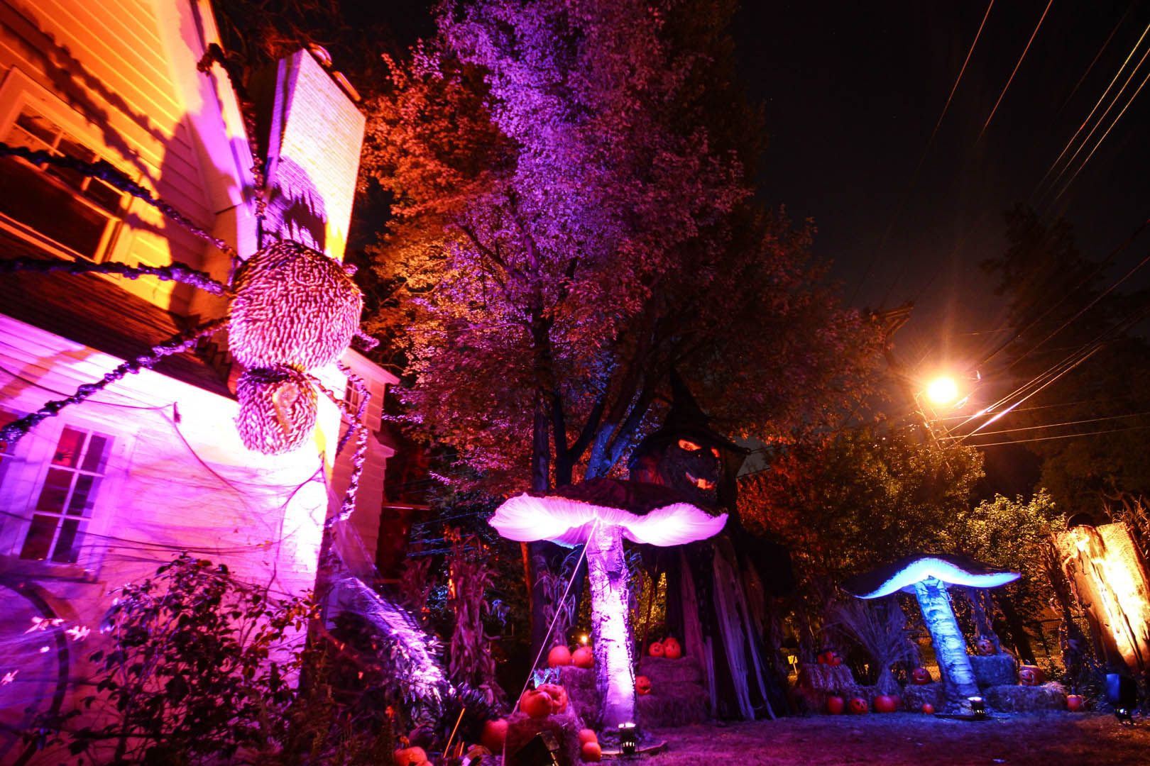 The Build of a Giant Spider : 7 Steps (with Pictures) - Instructables