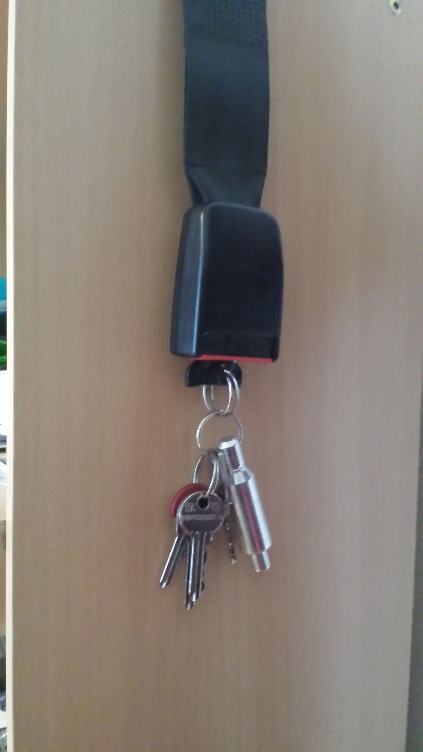 Seatbelt Key Organizer