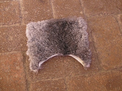 Furry Lid