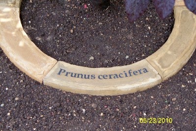 How to Make Concrete Tree Rings : 12 Steps (with Pictures) - Instructables