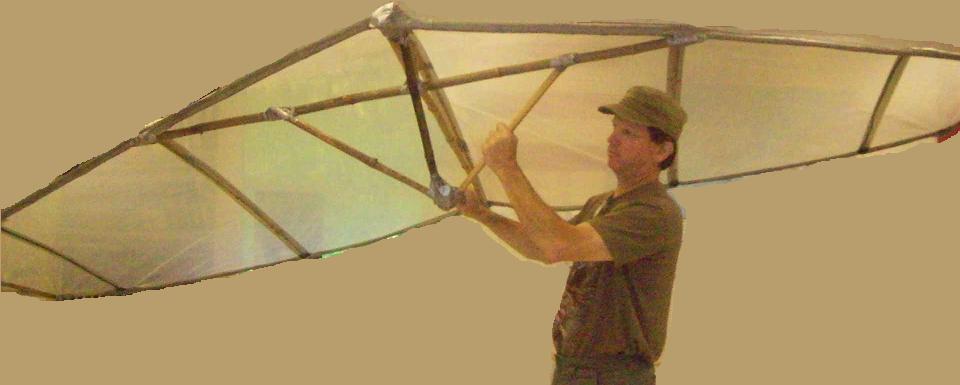 Duct Tape/Bamboo/Drop Cloth 'WingKite'