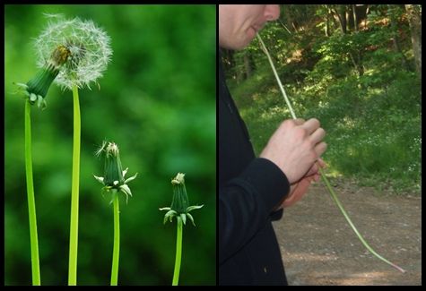 How to Make a Flute Easily