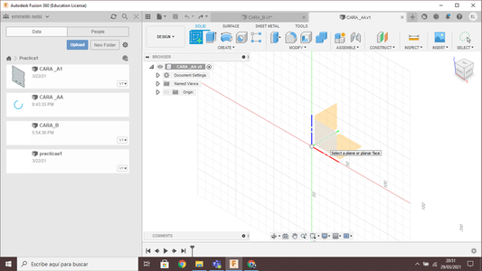 Desarrollo De La Cara