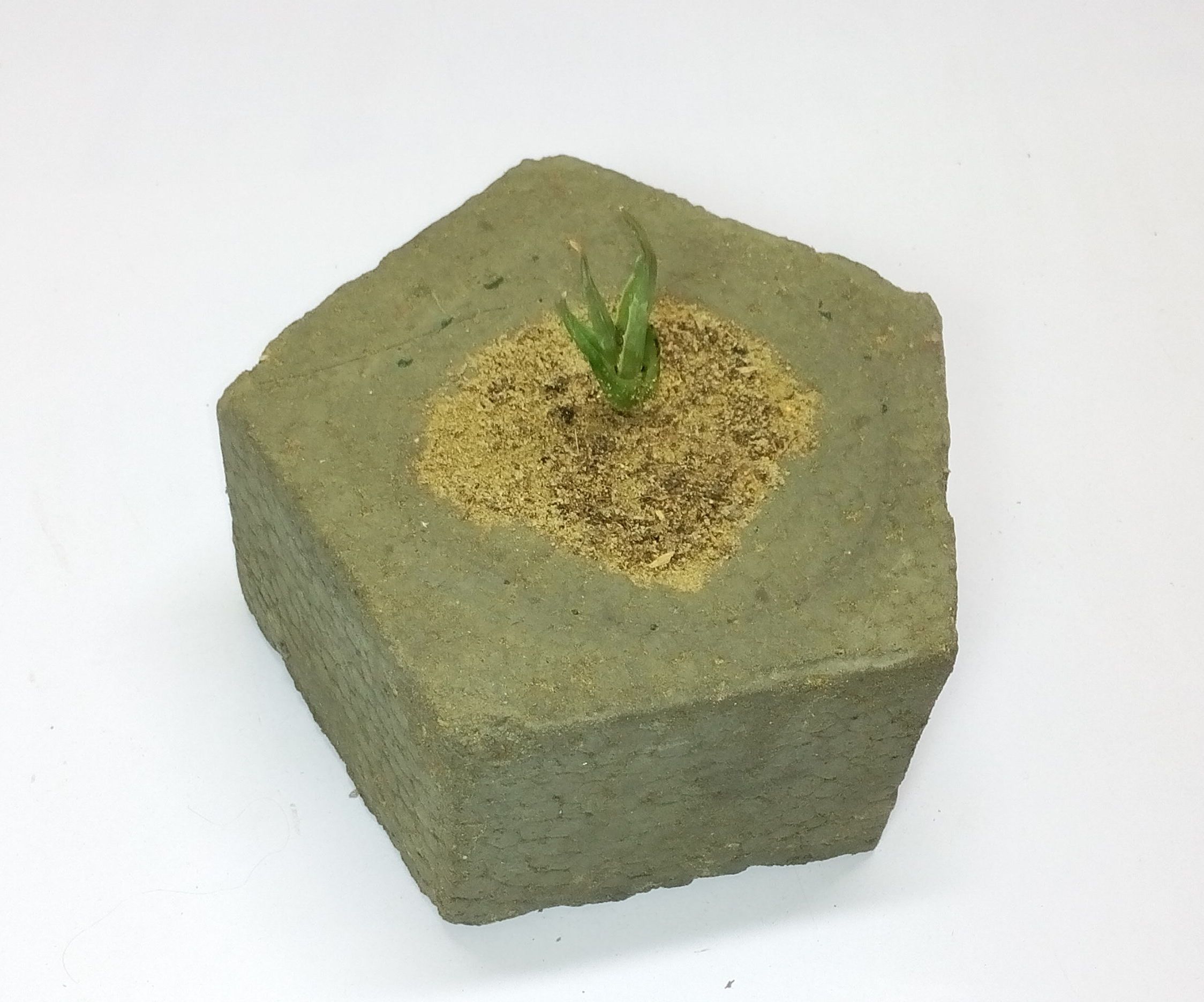 How to Make a Concrete Planter