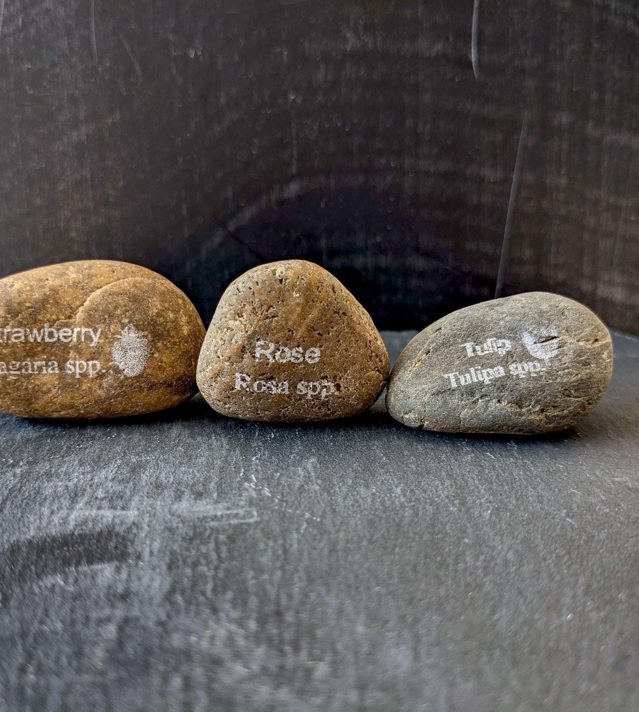 Laser-Engraved Stone Garden Markers : 6 Steps - Instructables
