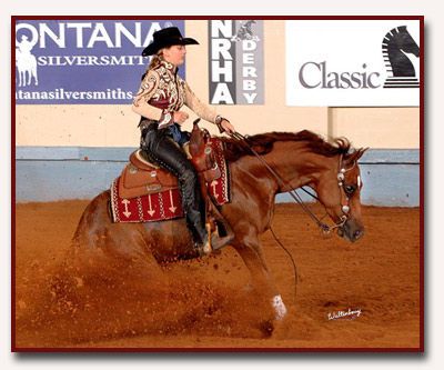 How to Train Your Horse to Do a Reining Stop