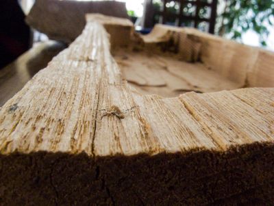 Making the Lumberflask
