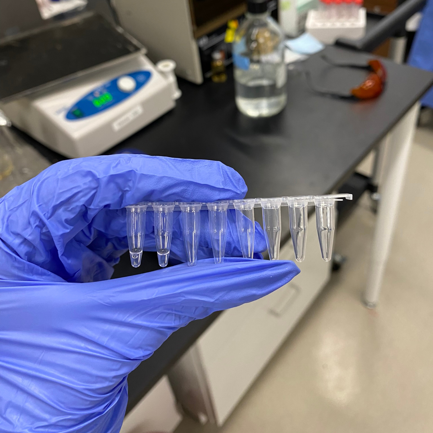 Mastering Molecular Cloning a Guide to Polymerase Chain Reaction (PCR