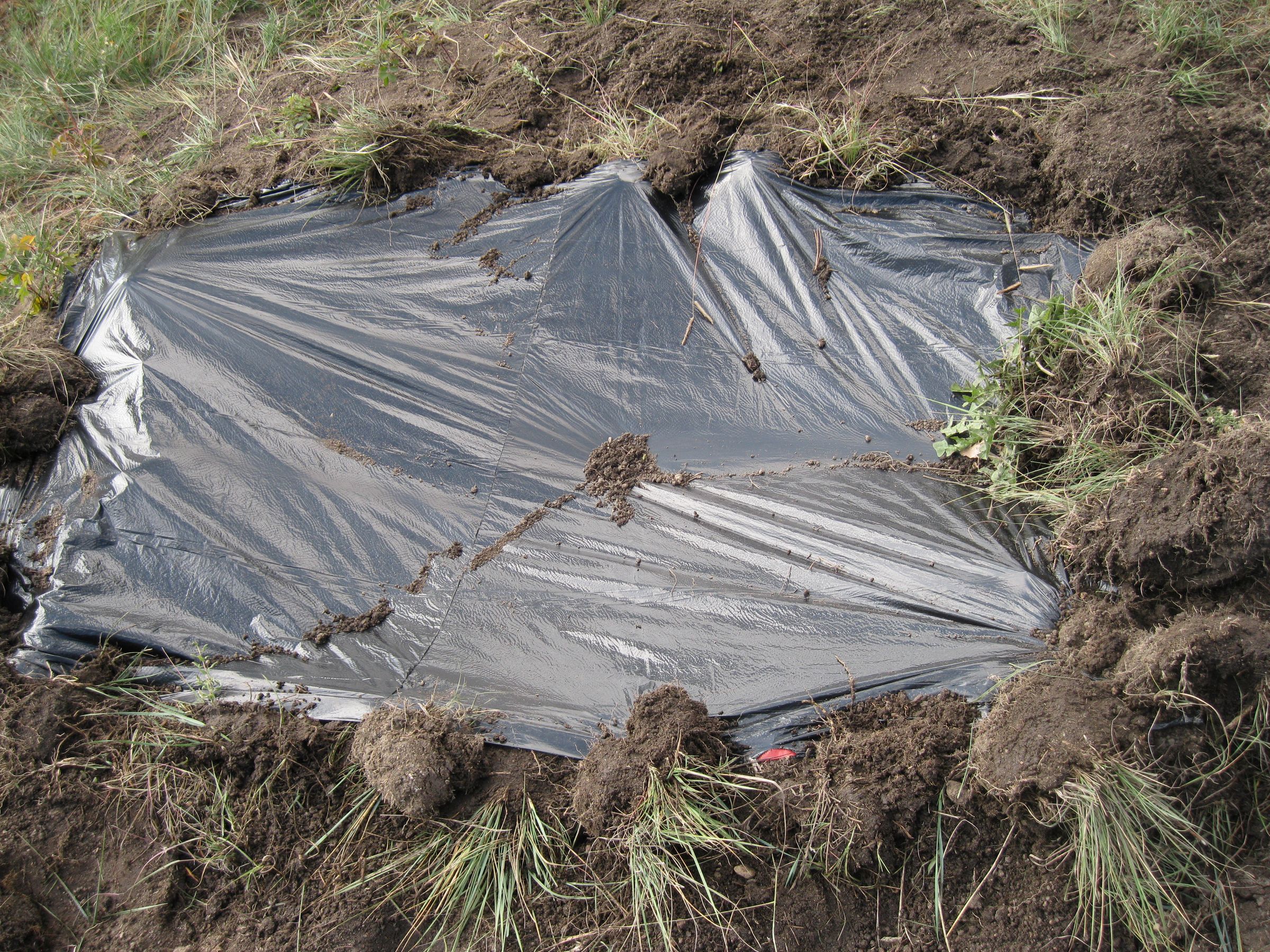 Make a Solar Still to Survive