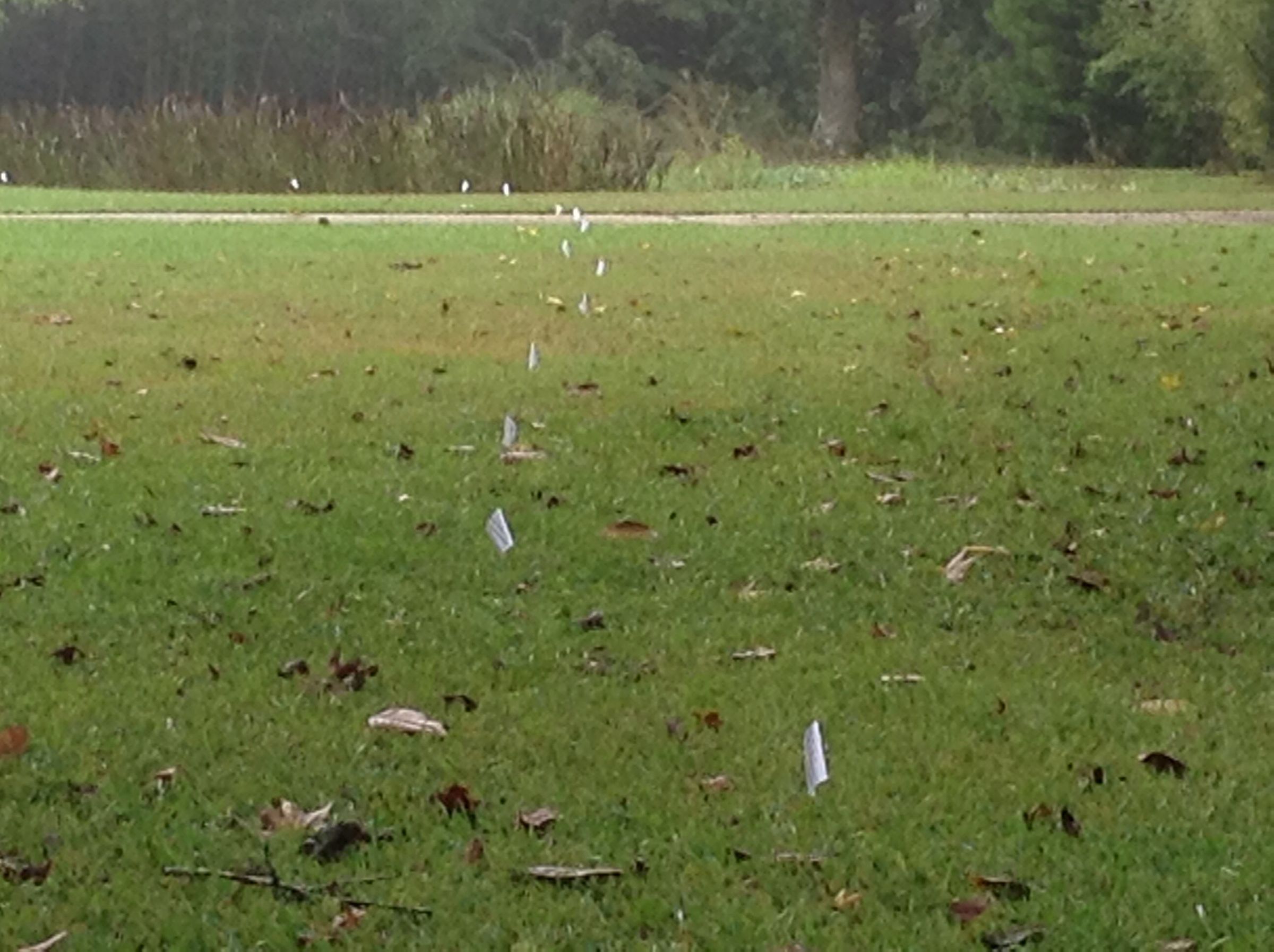 Install an Underground Fence 4 Steps Instructables