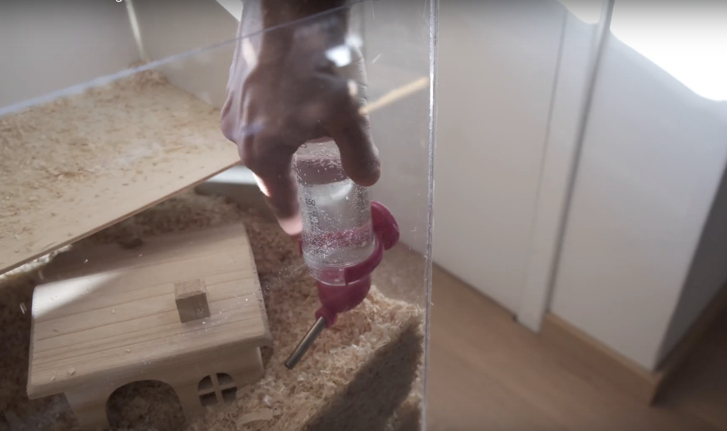 DIY Hamster Cage : 4 Steps - Instructables