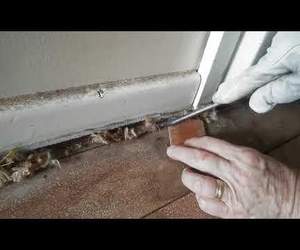 Carpet Staple Remover