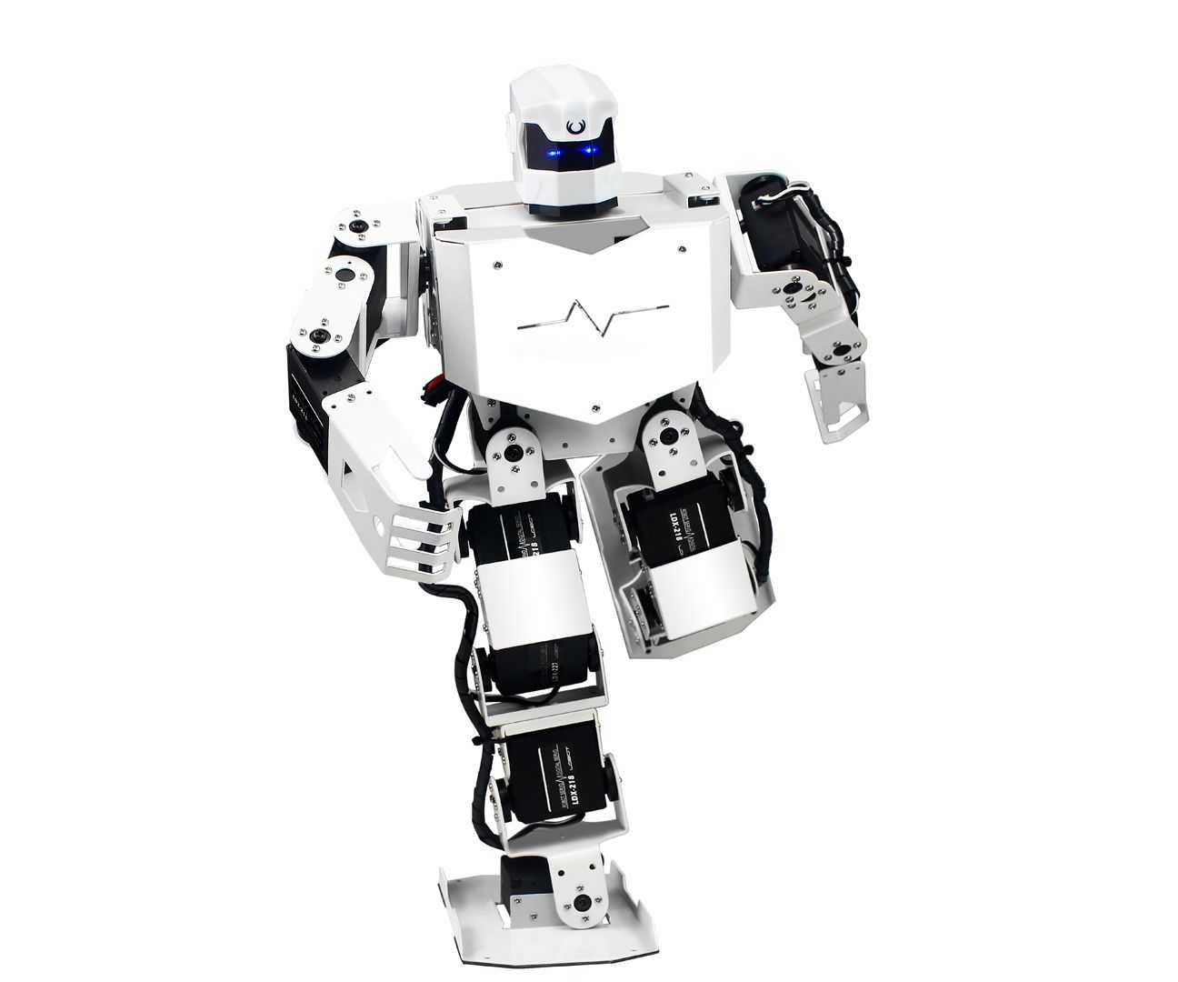 How to Programming for Humanoid Robot