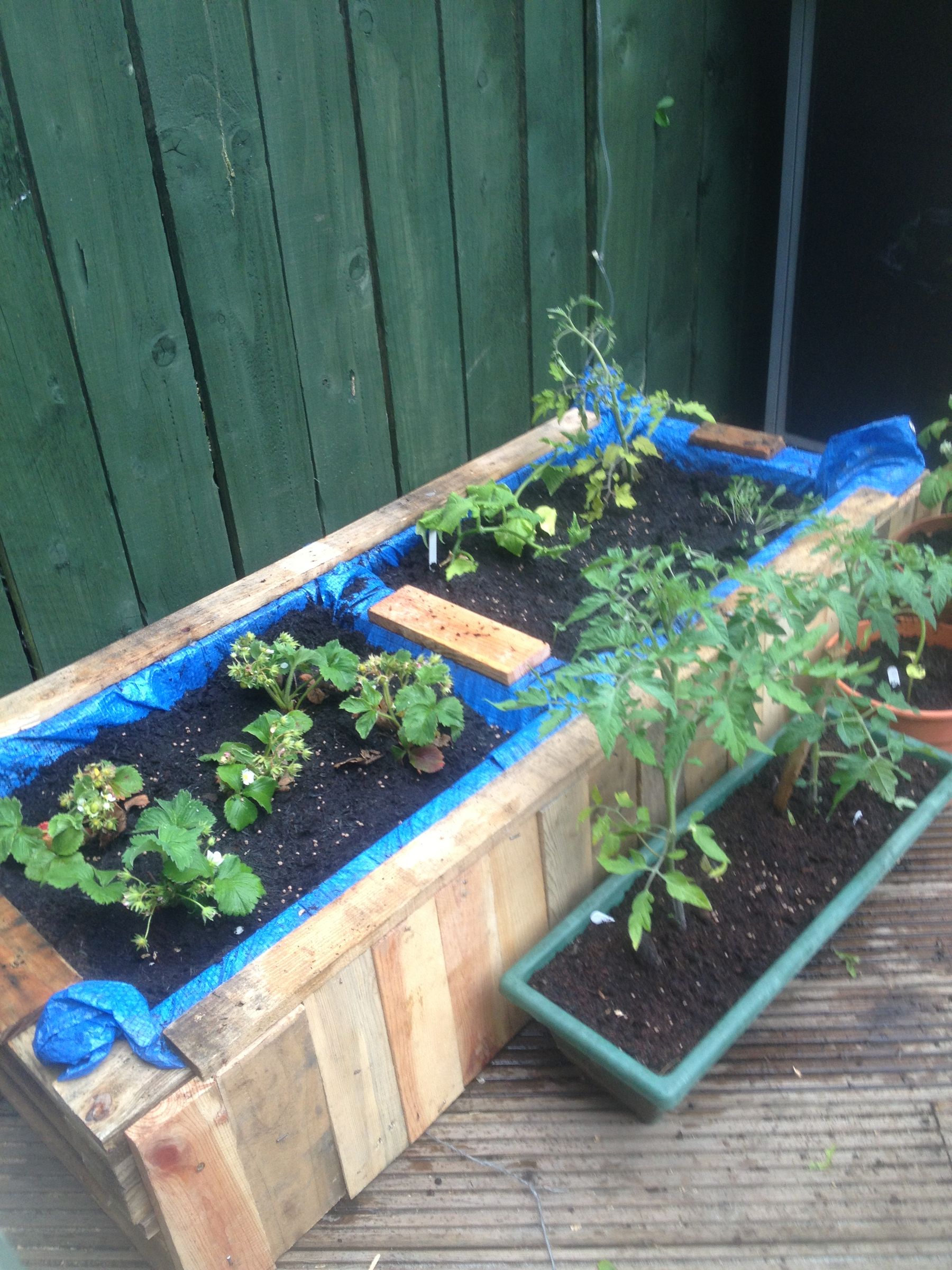 Raised bed from old pallets