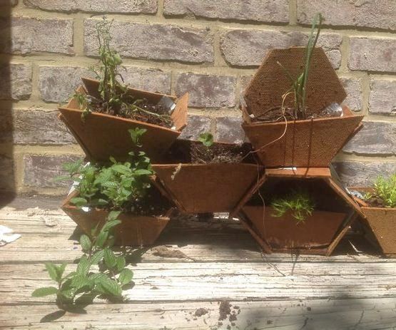 Interlocking Honeycomb Bee Garden