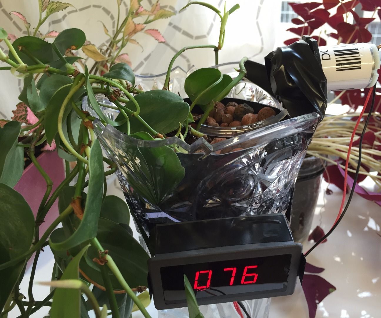 Retrofit Any Planter With Hydroponic Watering System