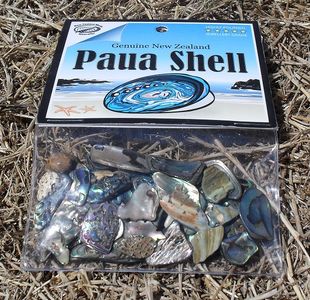 Paua Shells on a Piece of Wood
