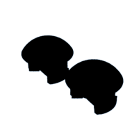 download {{ file.name }}